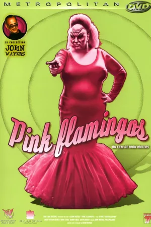 Jaquette : Pink Flamingos