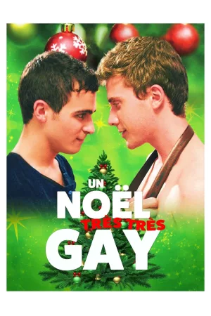 Jaquette : Un Noël très très gay