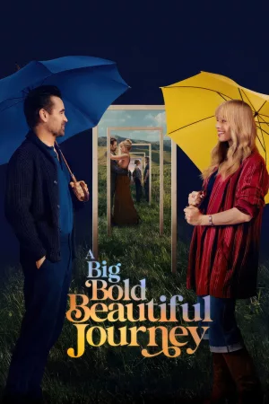 Jaquette : A Big Bold Beautiful Journey