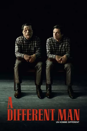 Jaquette : A Different Man