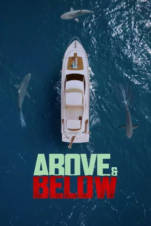 Jaquette : Above & Below