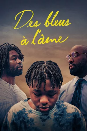 Jaquette : Des bleus à l'âme