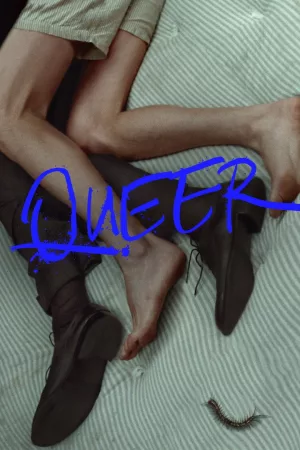 Jaquette : Queer