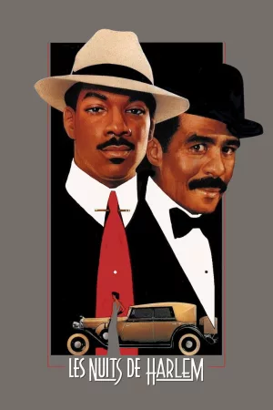 Jaquette : Les Nuits de Harlem