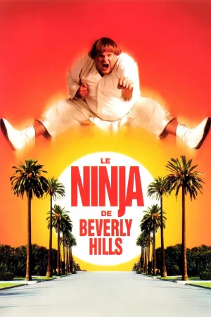Jaquette : Le Ninja de Beverly Hills