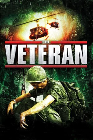 Jaquette : The Veteran