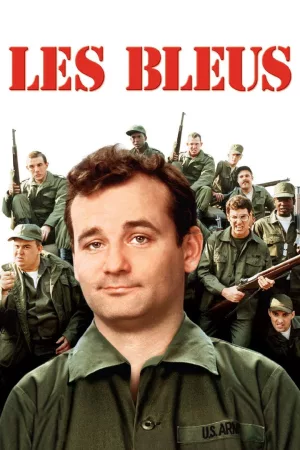 Jaquette : Les Bleus