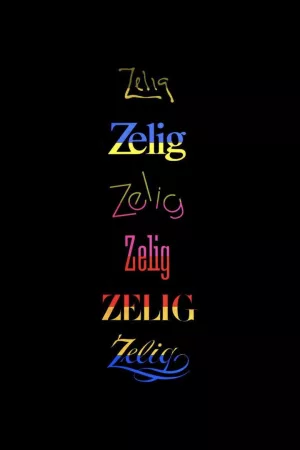 Jaquette : Zelig