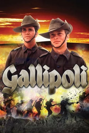 Jaquette : Gallipoli