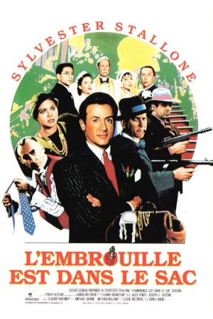 Jaquette : L'embrouille est dans le sac