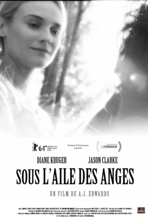 Jaquette : Sous l'aile des anges