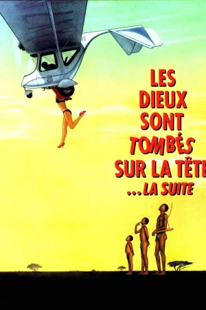 Jaquette : Les dieux sont tombés sur la tête 2