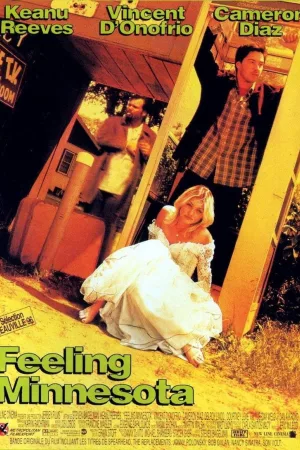 Jaquette : Feeling Minnesota