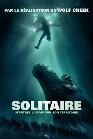 Jaquette : Solitaire