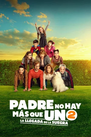 Jaquette : Padre no hay más que uno 2: la llegada de la suegra