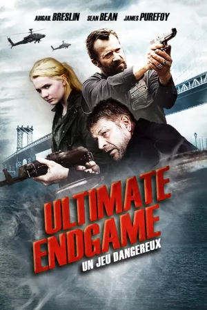 Jaquette : Ultimate Endgame