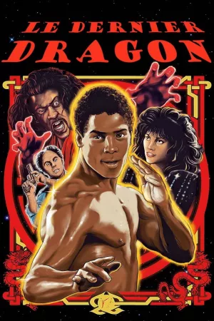 Jaquette : Le Dernier Dragon