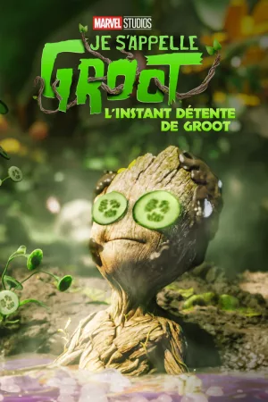 Jaquette : L'Instant détente de Groot
