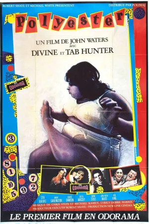 Jaquette : Polyester