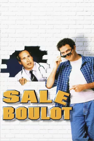 Jaquette : Sale Boulot