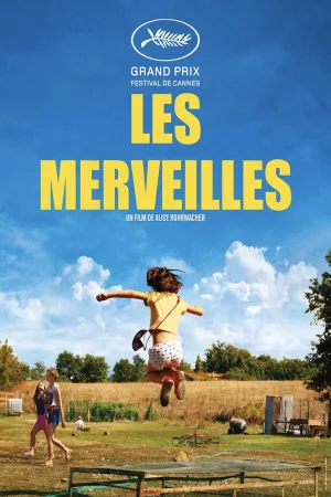 Jaquette : Les merveilles