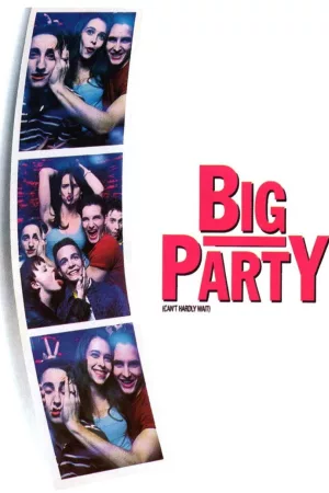 Jaquette : Big Party