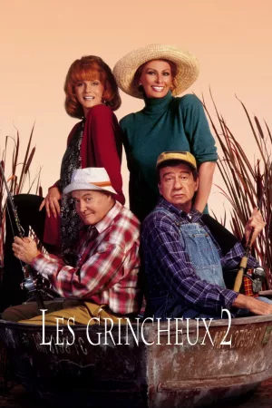Jaquette : Les Grincheux 2