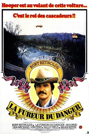 Jaquette : La Fureur du danger