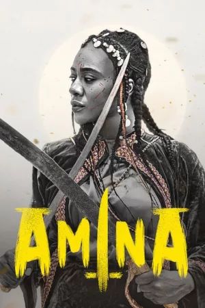 Jaquette : Amina