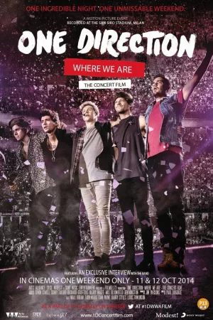 Jaquette : One Direction: Where We Are – The Concert Film