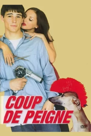 Jaquette : Coup de peigne