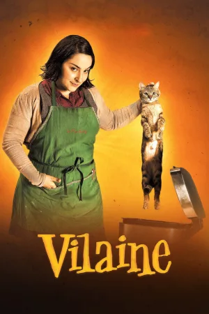 Jaquette : Vilaine