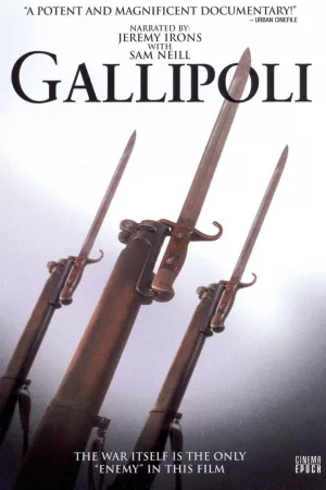 Jaquette : Gelibolu