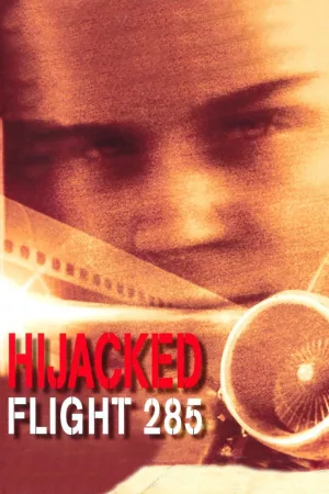 Jaquette : Hijacked: Flight 285