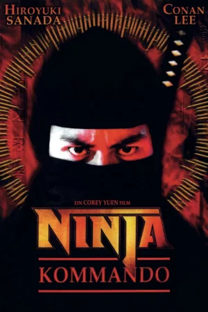 Jaquette : Ninja in the Dragon's Den
