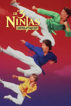 Jaquette : Ninja Kids 2 : Les 3 Ninjas contre-attaquent
