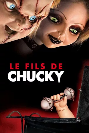 Jaquette : Le Fils de Chucky