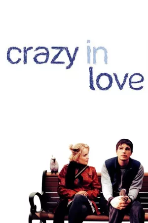 Jaquette : Crazy In Love