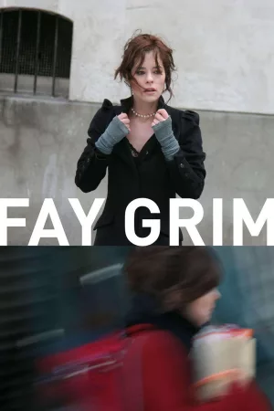 Jaquette : Fay Grim
