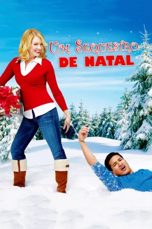Jaquette : Un fiancé pour Noël