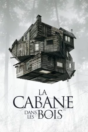 Jaquette : La Cabane dans les bois