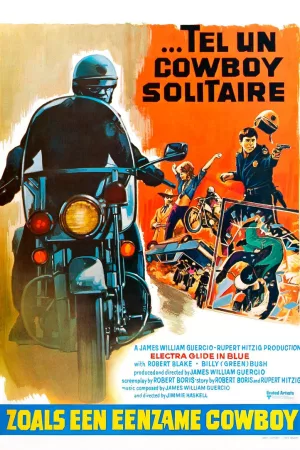 Jaquette : Electra glide in blue