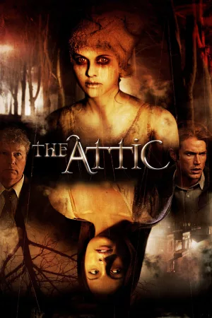 Jaquette : The Attic