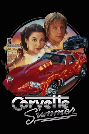 Jaquette : Corvette Summer