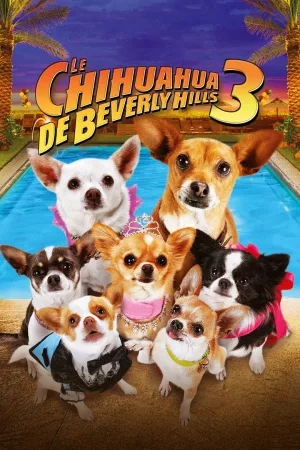 Jaquette : Le Chihuahua de Beverly Hills 3 : Viva la Fiesta !