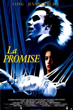 Jaquette : La Promise