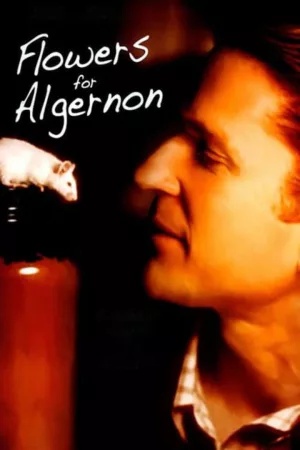 Jaquette : Flowers for Algernon