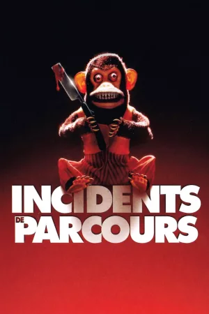 Jaquette : Incidents de parcours