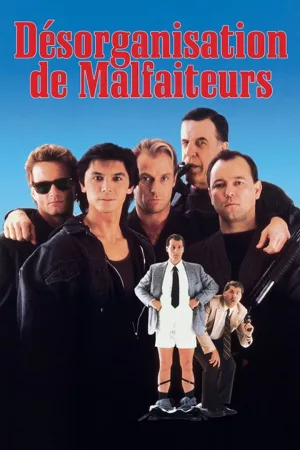 Jaquette : Désorganisation de Malfaiteurs
