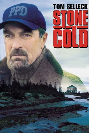 Jaquette : Jesse Stone : En l'absence de preuves